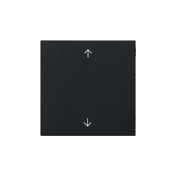 Gira Wippe 1-fach Schwarz 5389005